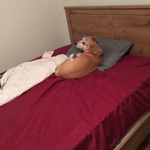 Meet your Posher, Philip